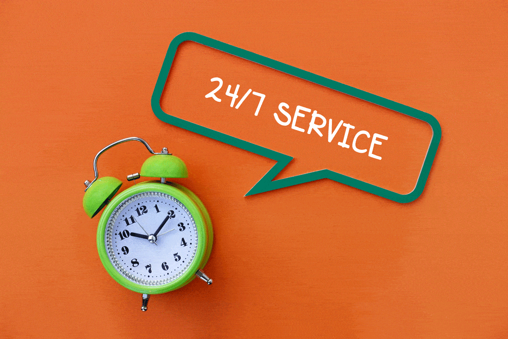 24/7 Emergency Response for Your Plumbing Needs | Plumbing Service