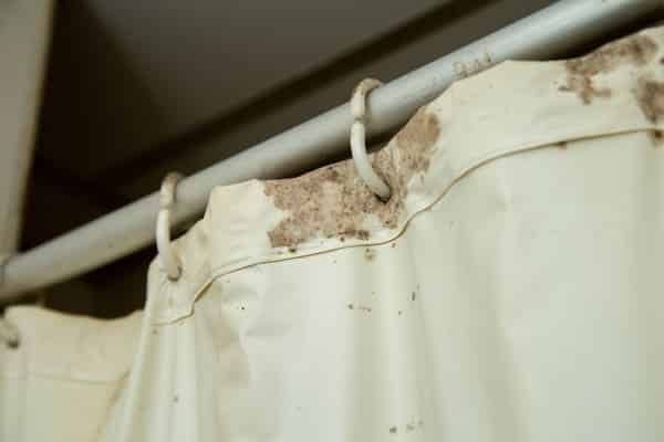 A moldy shower curtain.