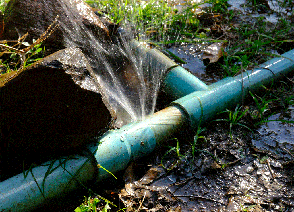 Choosing The Right Plumbing Service | Water Line Repair
