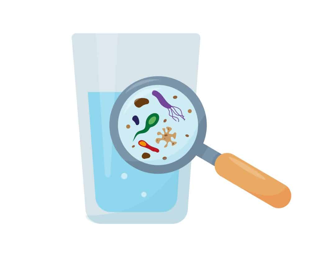A magnified view of different bacteria and dirty water in a glass.