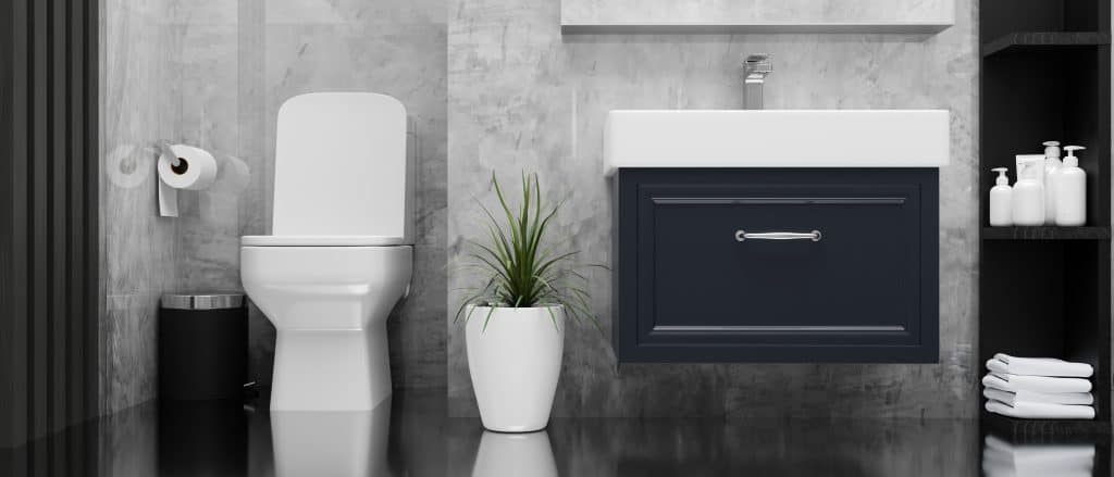 Expert Toilet Repair and Installation Services