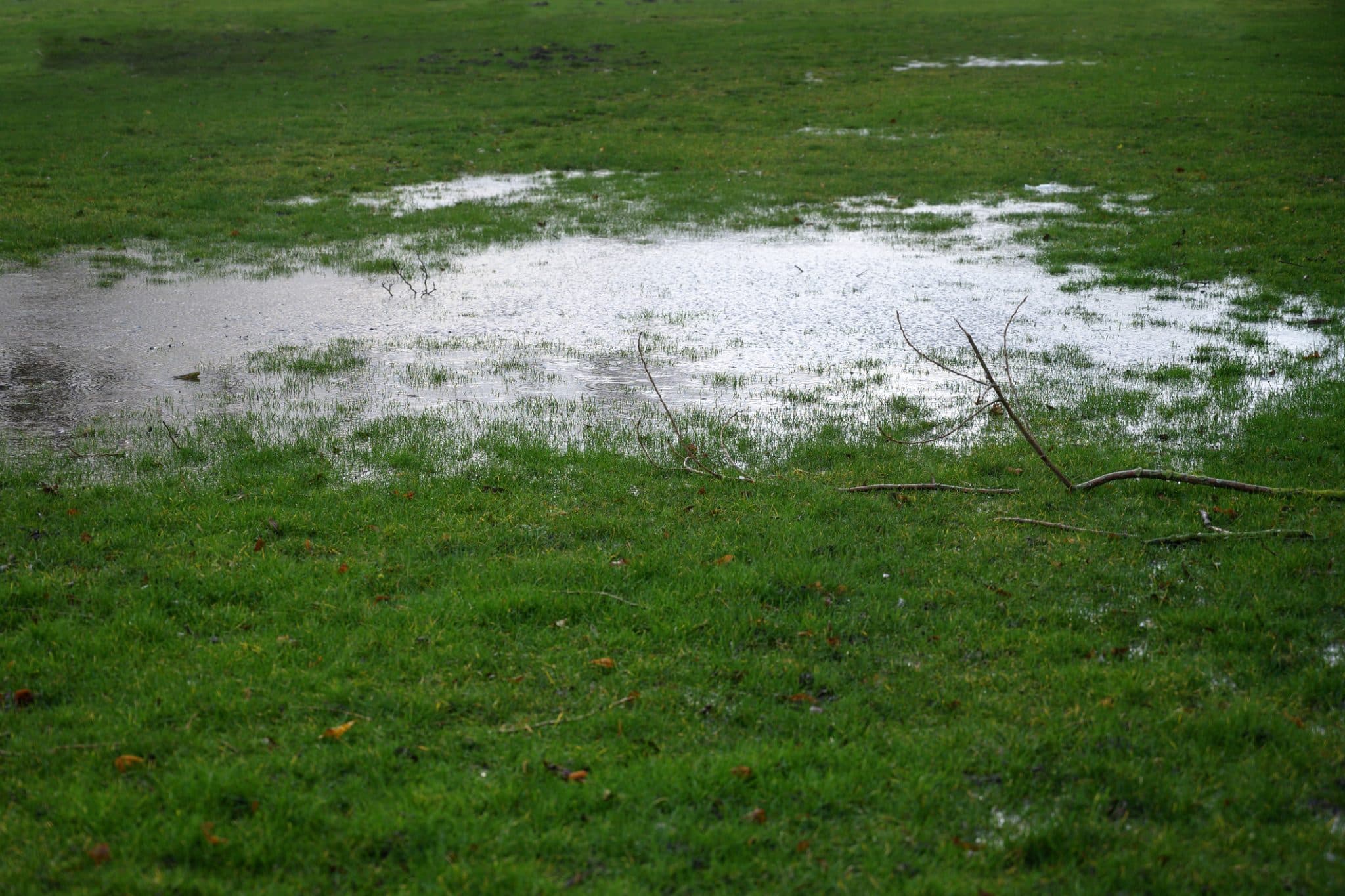 Field Line Inspections Flooded Lawn.