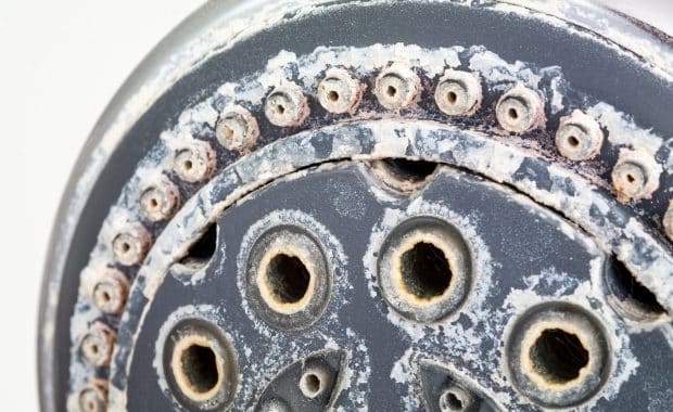 Silver round shower head with hard water deposits around the sprinklers.