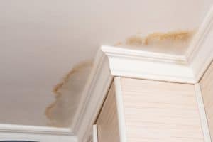 Water stains on a home's ceiling as a result of leaky pipes.