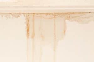 Water staining and damage on a white wall.