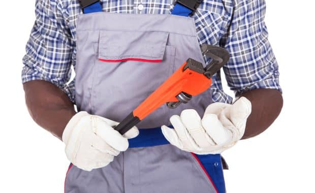 Professional Plumber.