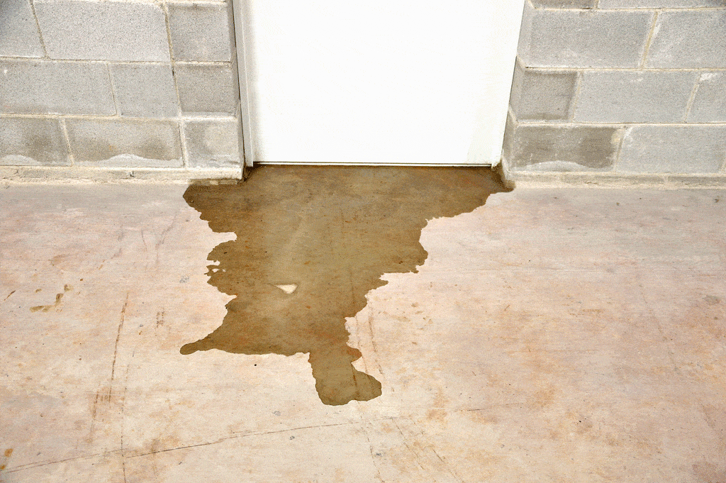 Signs You Might Have a Slab Leak: The Red Flags You Can't Afford to Ignore | Slab Leak Detection