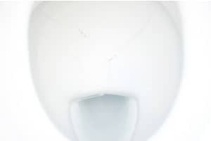 A cracked toilet bowl.