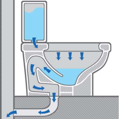 Diagram of how water flows through a toilet when flushed.