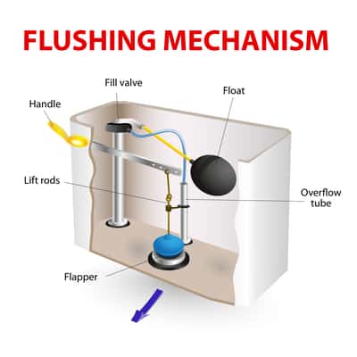 Diagram of a toilet flushing mechanism.