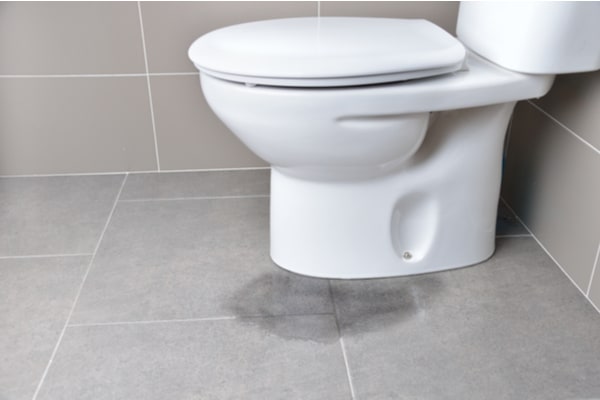 Water pools on bathroom floor from overflowing toilet.