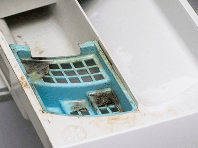 Soap scum and mold build up in a washer's soap dispenser.
