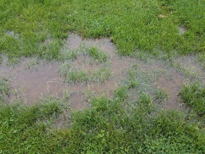 Yard floods from burst water line
