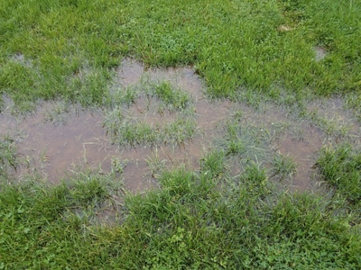 Water floods the grass in a yard.