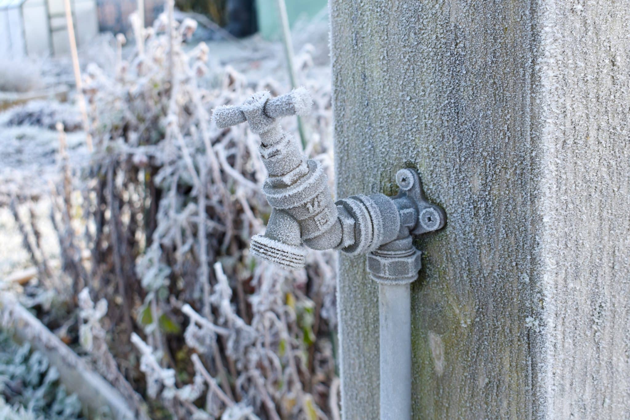 frozen outdoor faucets.
