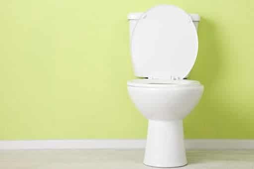 how toilets work