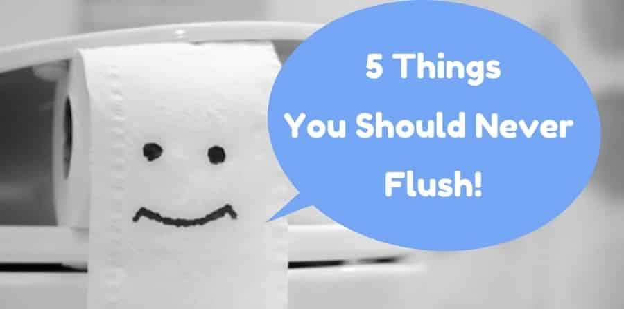 5 Things You Should Never Flush