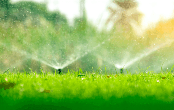 Home lawn irrigation system