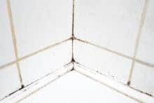 Mold in a shower caused by a leaking bathtub drain
