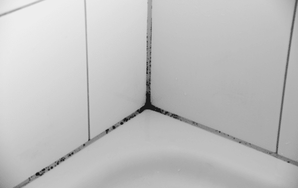 Mold growing in bathroom tiles