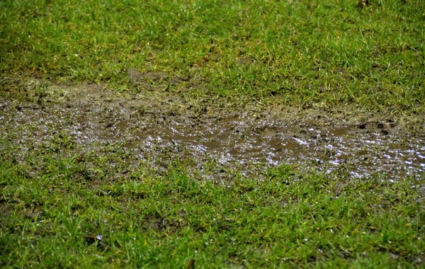 Signs you have a yard line water leak
