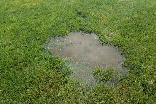 Water pooling in a yard is a sign of a water main problem