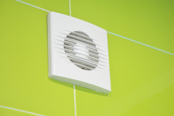 Bathroom ventilation system