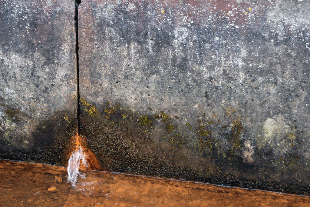 water leaking out of slab slab leak detection plano tx ft worth tx